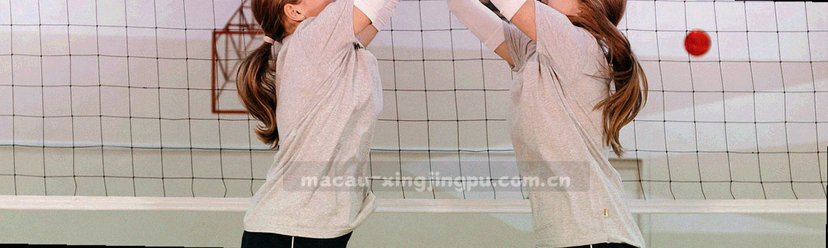 四色标签在一条横向刻度上排列，青瓷、品红、墨黑、浅莲各占一段